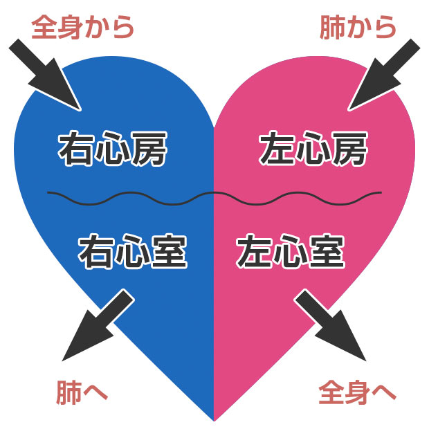 不整脈とは?